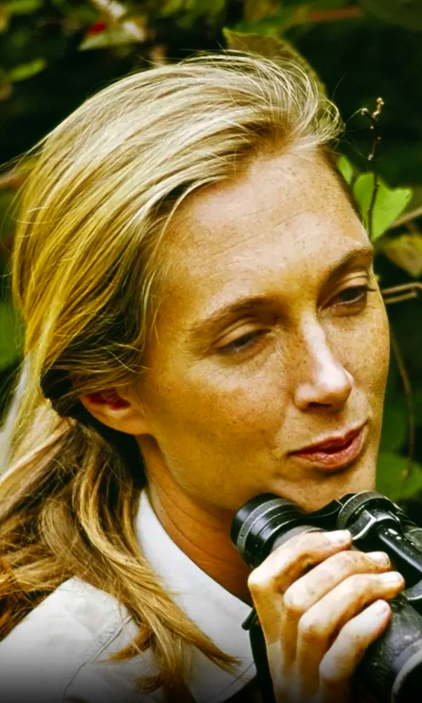 RIP Dr. Jane Goodall - Art AI movie on immersai