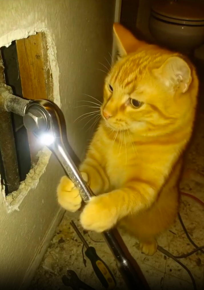 Cats Do DIY - Totally Serious AI movie on immersai