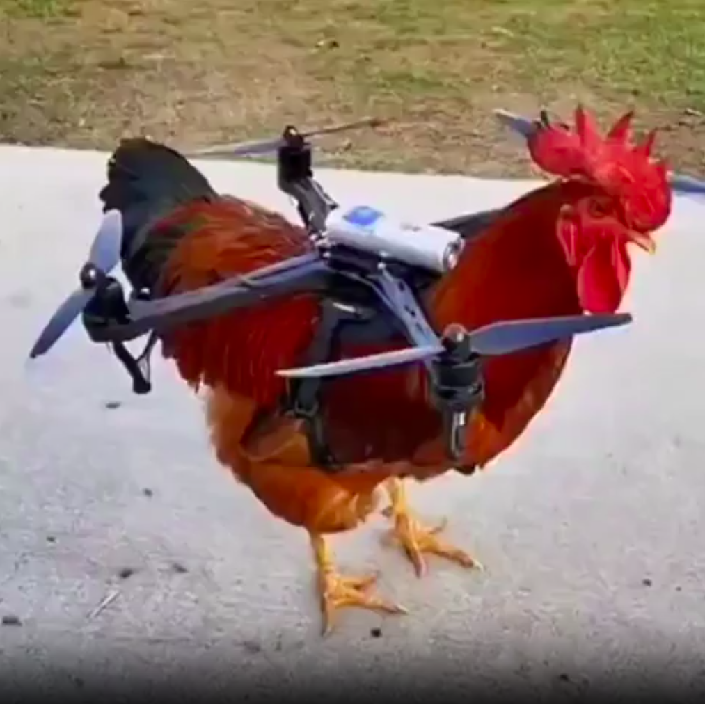 My Mood Right Now - Totally Serious AI movie on immersai